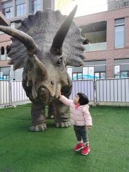 -恐龙探索乐园(磁器口店)