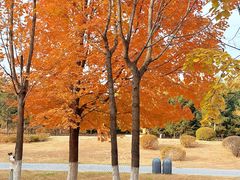 -长春世界雕塑园冰雪艺术天地