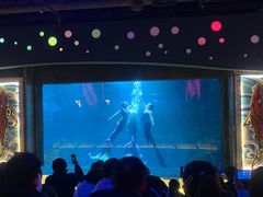 -石家庄海洋公园