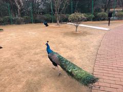 -杭州野生动物世界