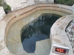 -大连金石滩绿发温泉假日酒店