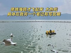 -海埂大坝