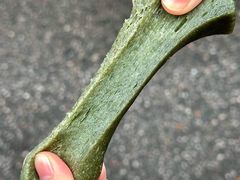 -南京中山大厦
