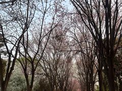 -洛阳市隋唐城遗址植物园