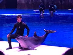 -华夏文旅海洋公园