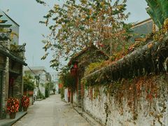 -三溪村
