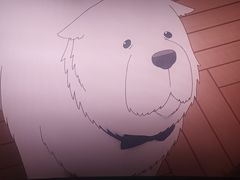 -卢米埃IMAX影城(温州万象城激光店)