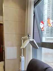 -碧莲盛·不剃发植发