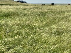 -呼和诺尔旅游景区