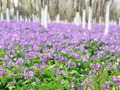 -白塘生态植物园