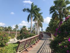 -金鸡岭桥头公园