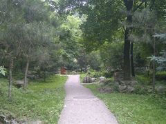 android_upload_pic-陕西省红河谷森林公园
