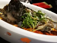 清蒸老虎斑-徐记海鲜(大明宫|北二环店)