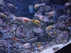 -成都浩海立方海洋公园