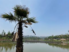 -枫香湖儿童公园