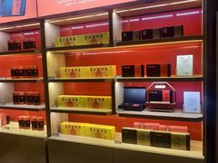 -东阿阿胶文化酒店