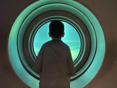 -白鹤梁水下博物馆