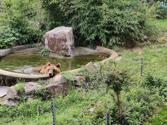 -无锡动物园·太湖欢乐园