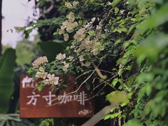 -绿房子方寸咖啡(星海名城店)