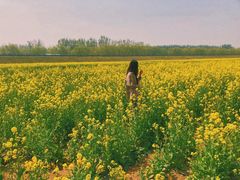 -天津武清北运河郊野公园房车露营地
