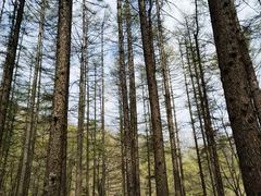 -广州市白云山风景名胜区