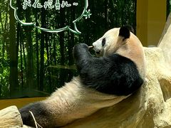-杭州野生动物世界