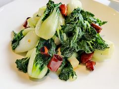浇汁童子菜-四季民福烤鸭店(东四十条店)
