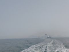 -招商蛇口邮轮母港(观光客运)