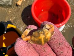 -东戴河风景区-止锚湾