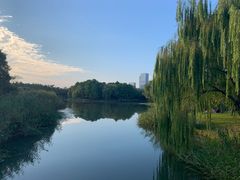 -尚贤河湿地