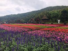 景点-广州市石门国家森林公园