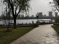 -莲花池公园