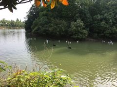 -艾溪湖湿地公园