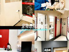 -御宝贝24h宠物医院·转诊中心·CT核磁血透中心(厦门总院)