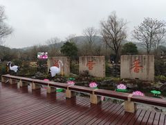 -香雪海