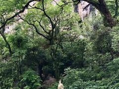 -融水老君洞景区