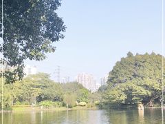 -晓港公园