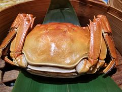 -南京大牌档(中山陵店)