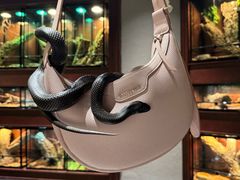 -帕帕拉兹宠物(亚洲旗舰店)