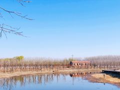 -东郊湿地公园