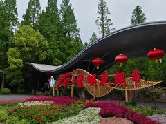 -东平国家森林公园