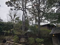 景观位-料亭菊水楼