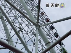 -温州乐园