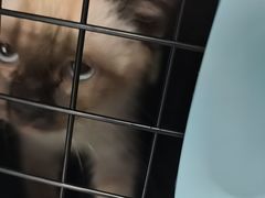 -瑞鹏瑞爱宠物医院·全科·猫科·血液透析中心(龙头寺店)