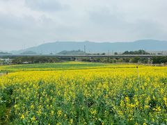 -光明小镇欢乐田园