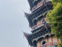 -葛仙湖公园
