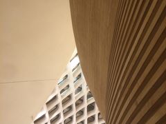 -哈尔滨大剧院