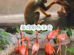 -长鹿旅游休博园