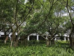 -厦门大学(思明校区)