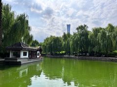 -团结湖公园